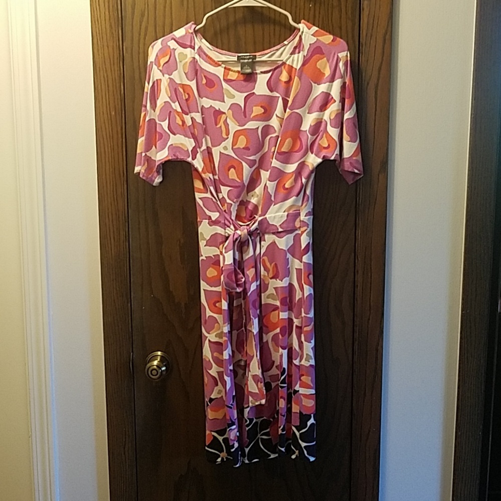 Ann Taylor Women's Dress